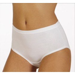 Slip donna panty culotte cotone senza bordi elastici cotone taglie forti E05